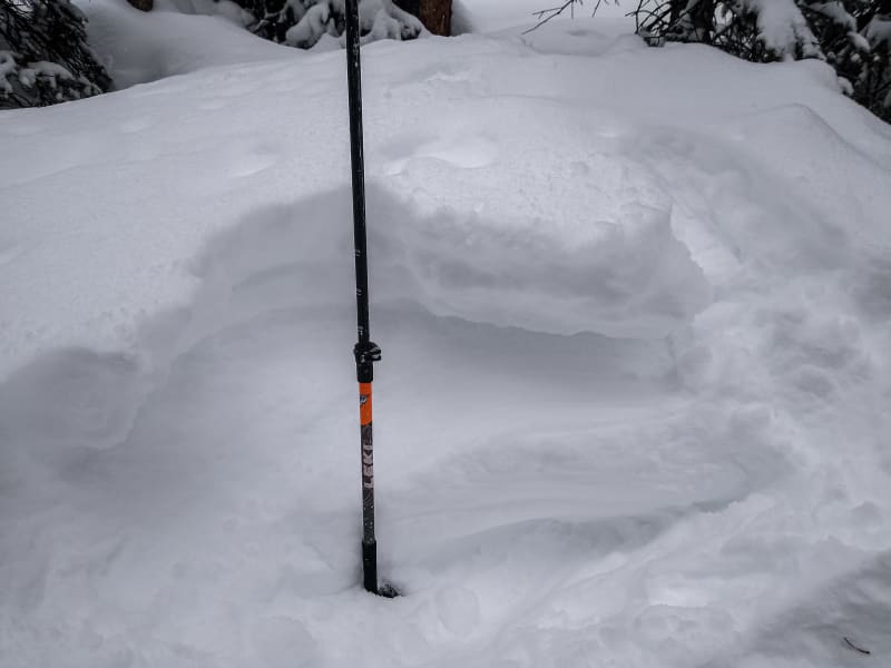 Observation photo 1