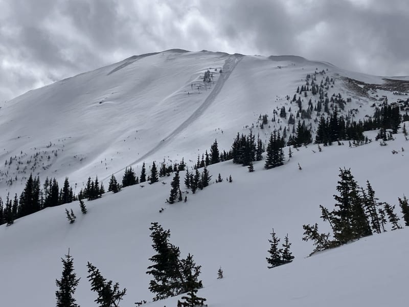 Observation photo 1