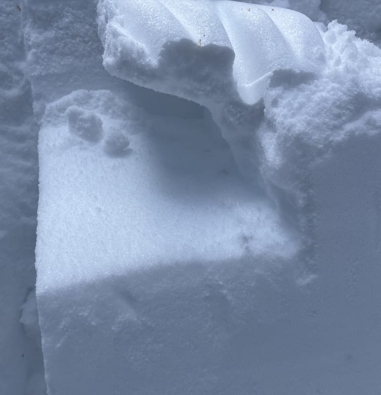 Observation photo 4