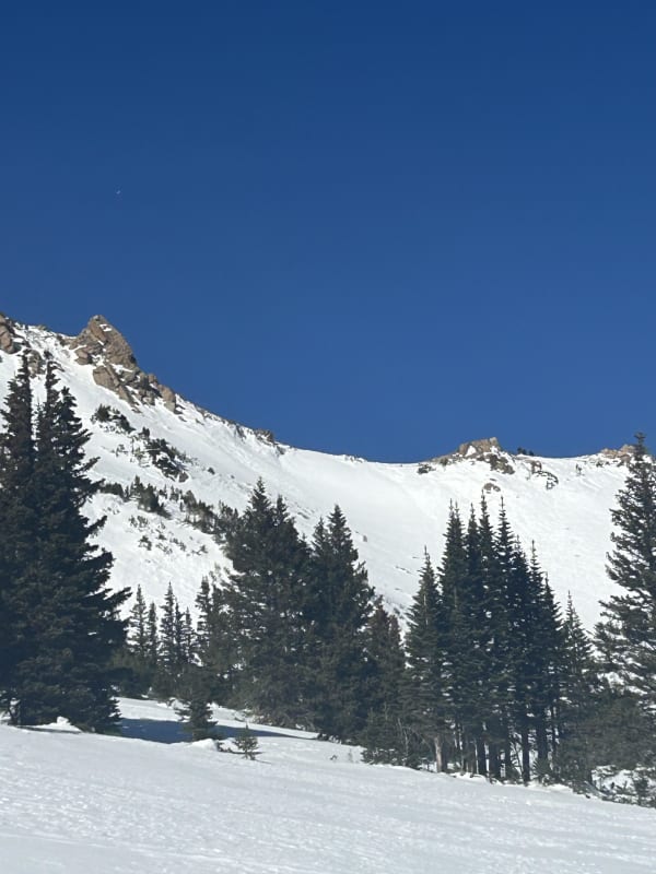 Observation photo 4