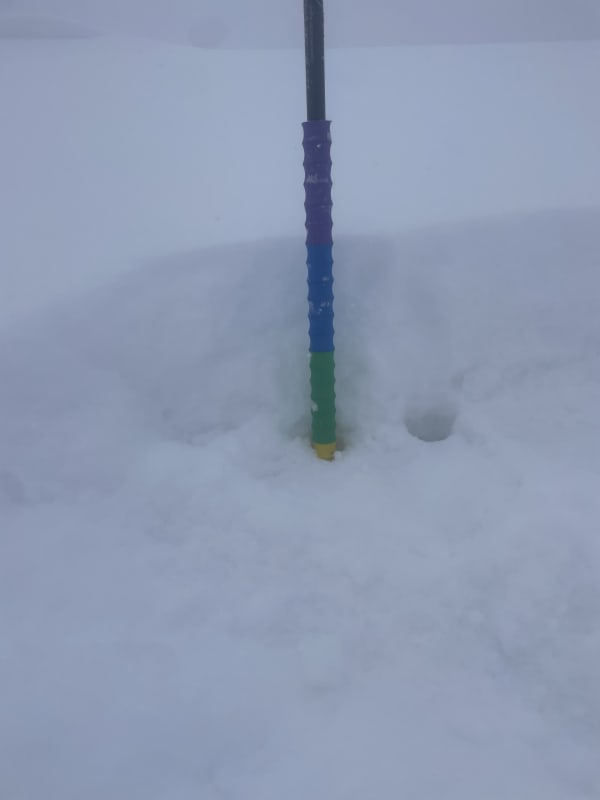 Observation photo 2