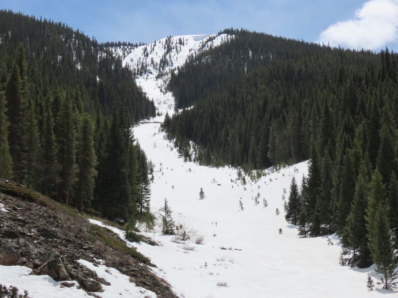Observation photo 6