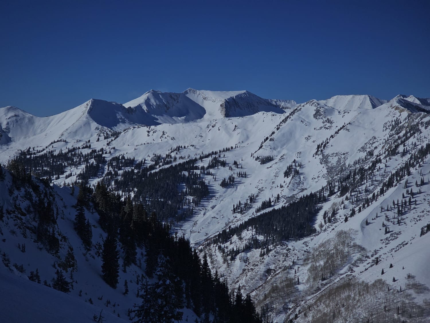 Observation photo