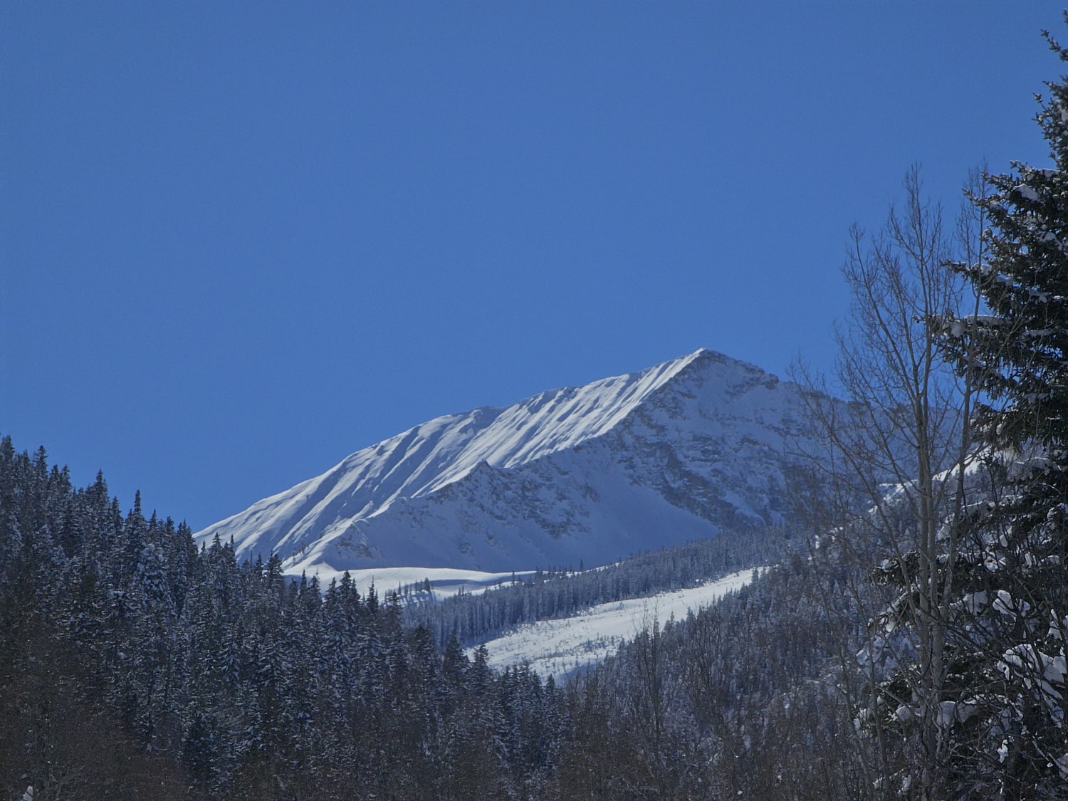 Observation photo