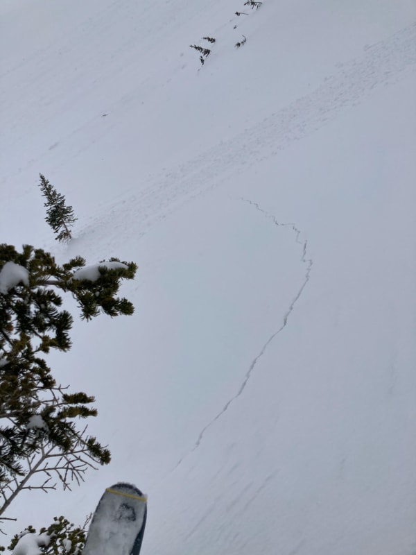 Observation photo 2