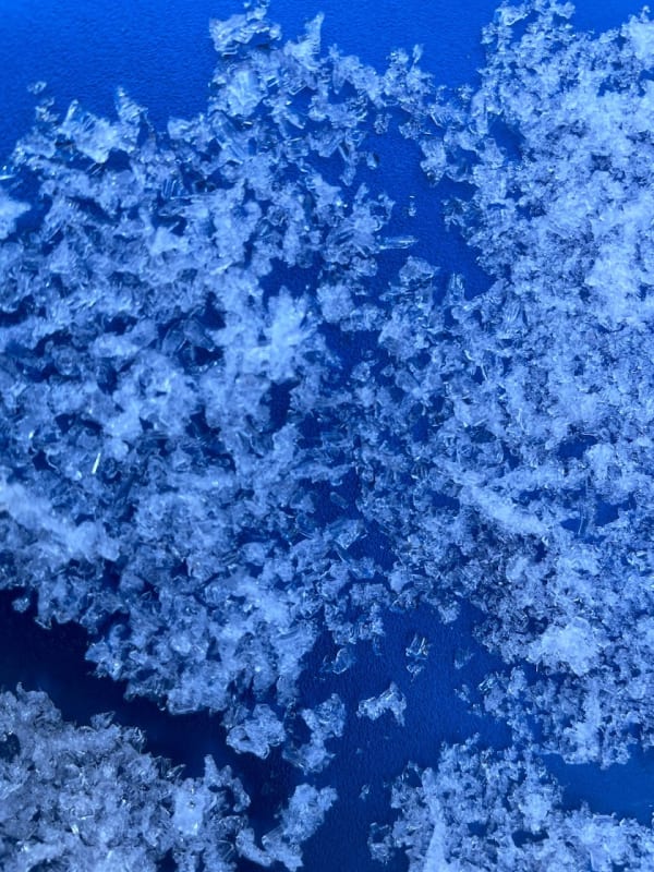 Observation photo 4