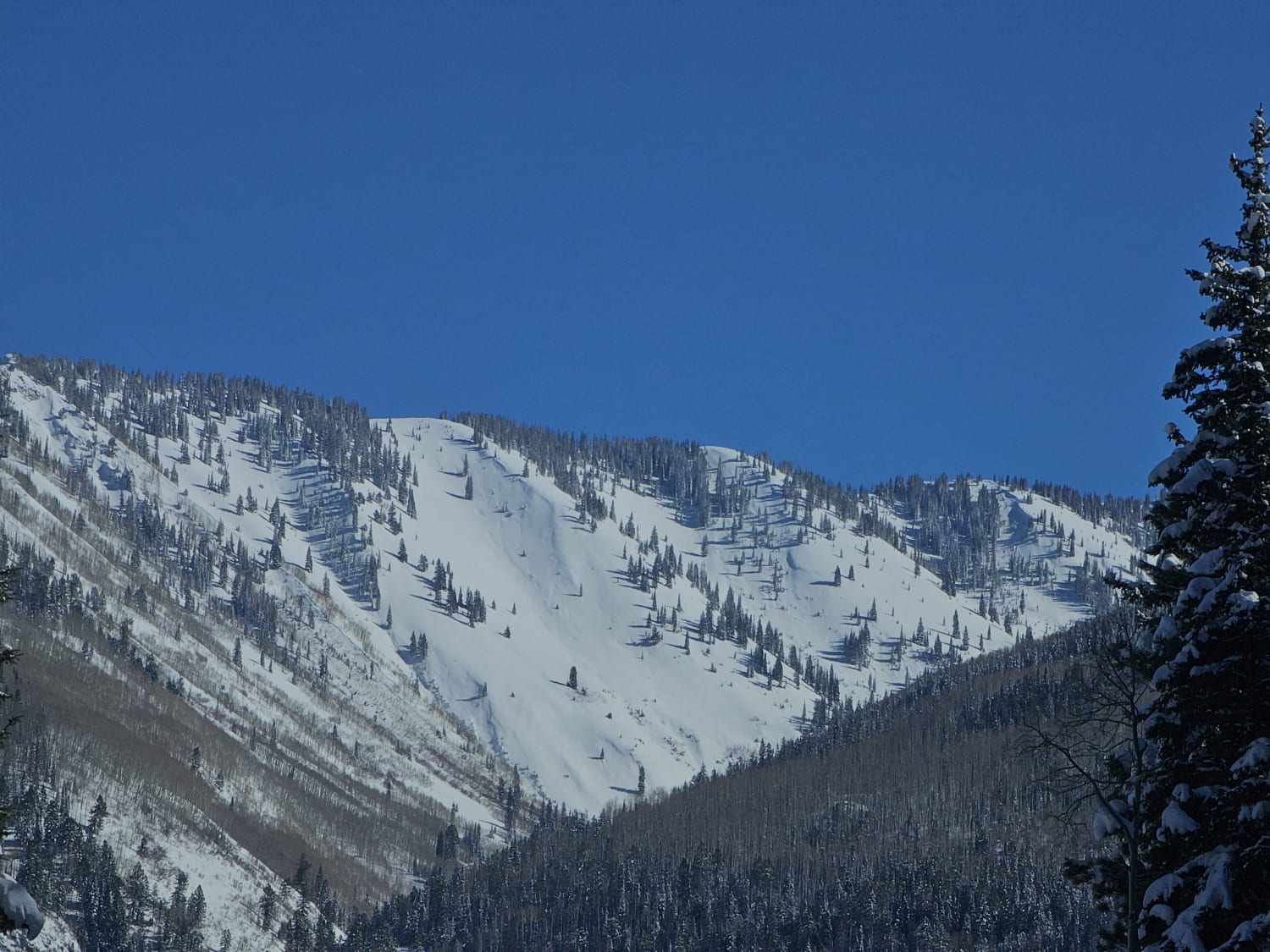 Observation photo