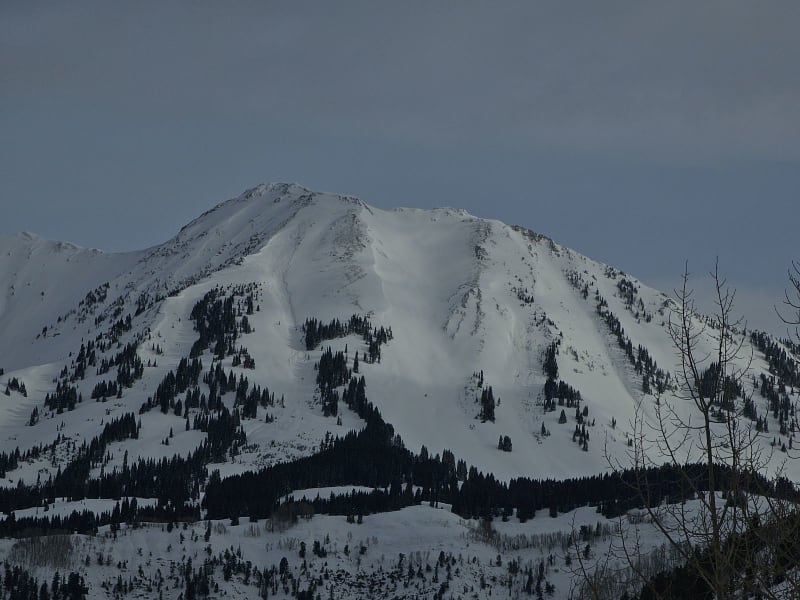 Observation photo 2