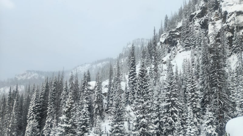 Observation photo 3