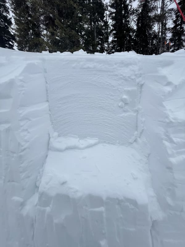 Observation photo 2