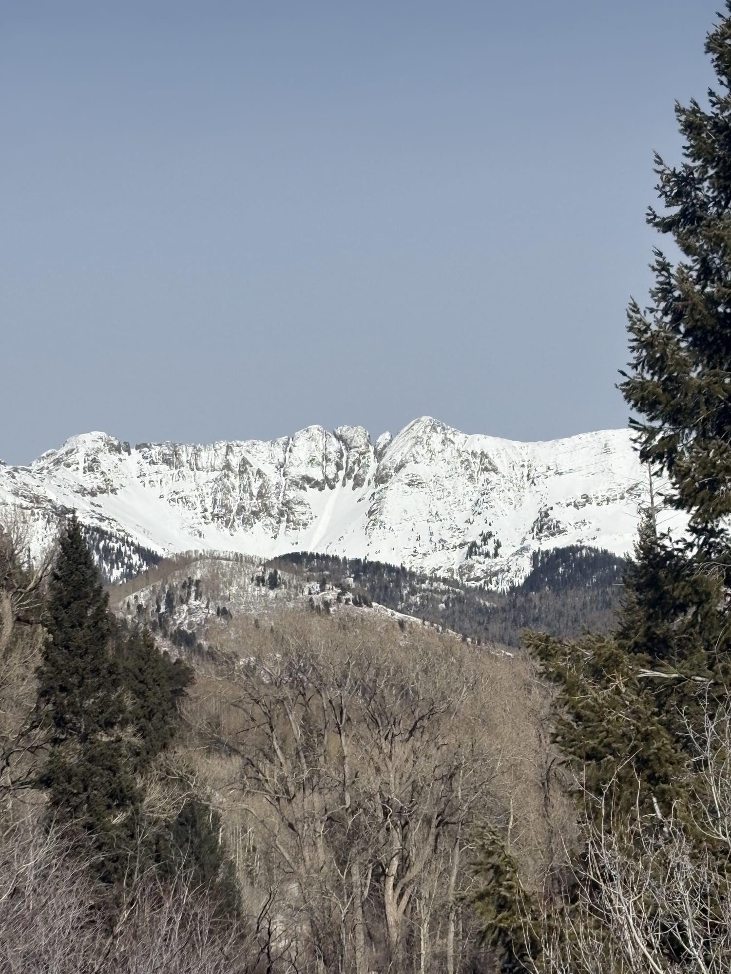 Observation photo