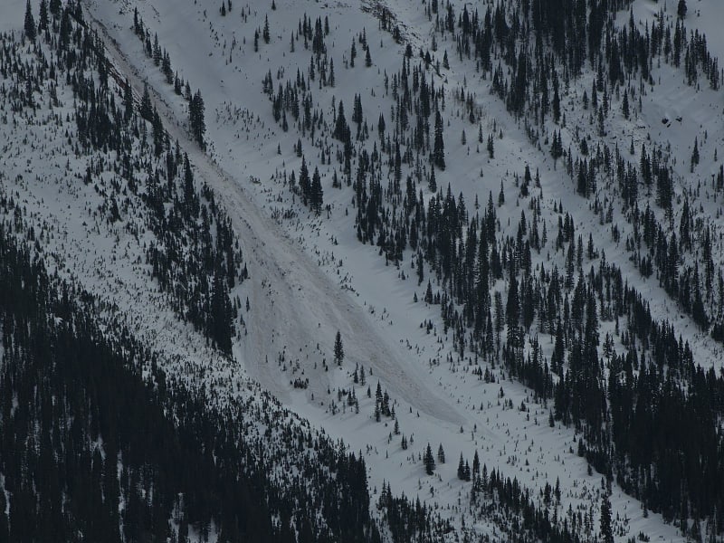 Observation photo 3