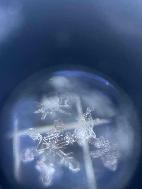 Observation photo 1