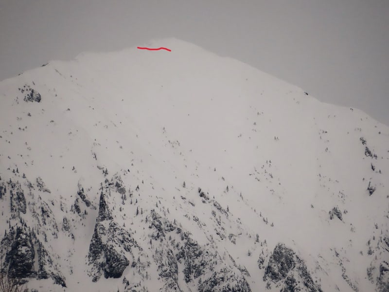 Observation photo 2
