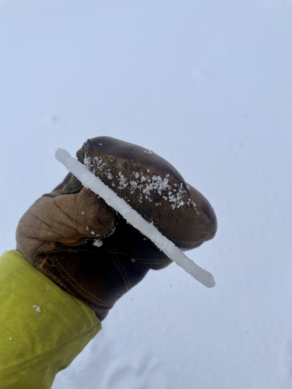 Observation photo 2
