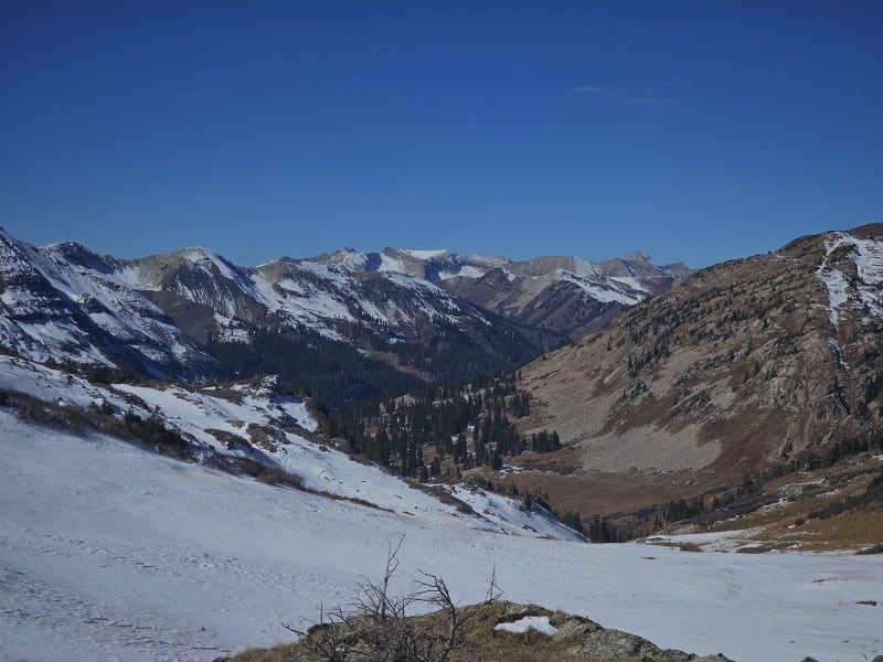 Observation photo 1