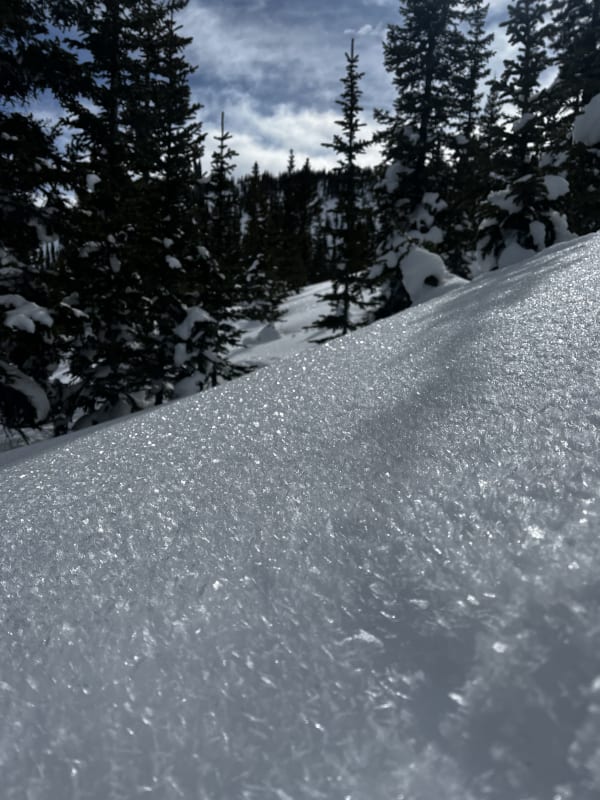 Observation photo 2