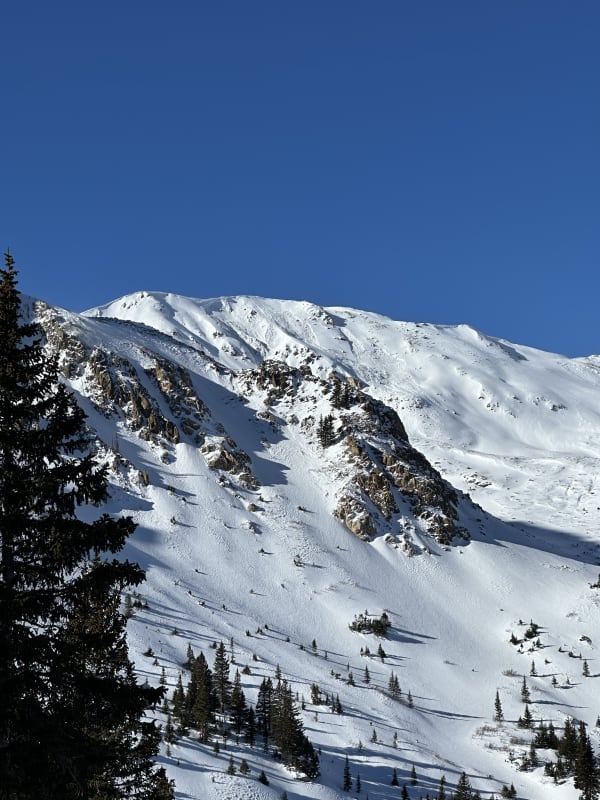 Observation photo 1