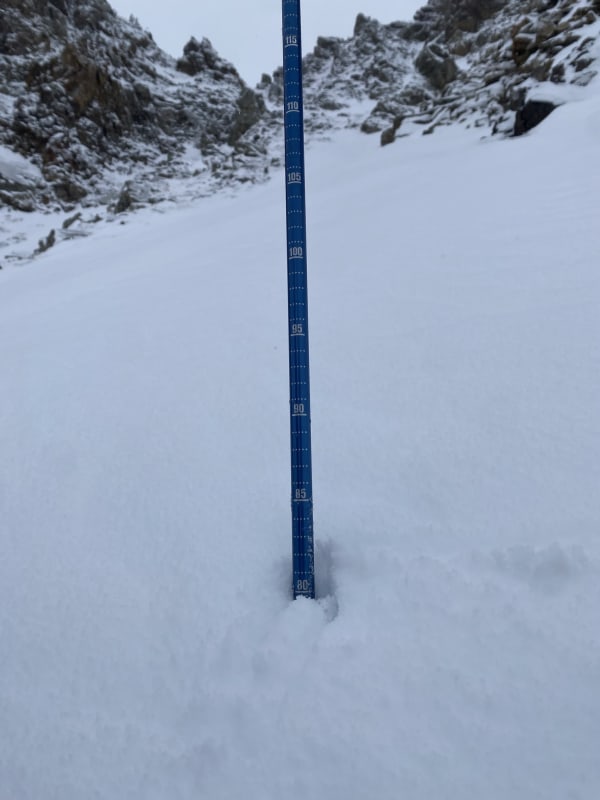 Observation photo 4