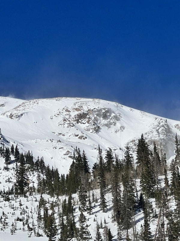 Observation photo 1