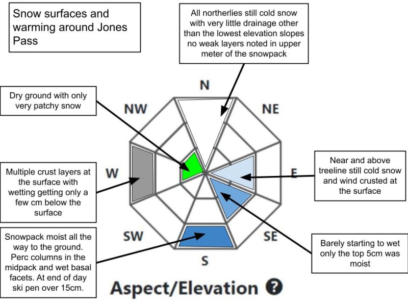 Observation photo 5