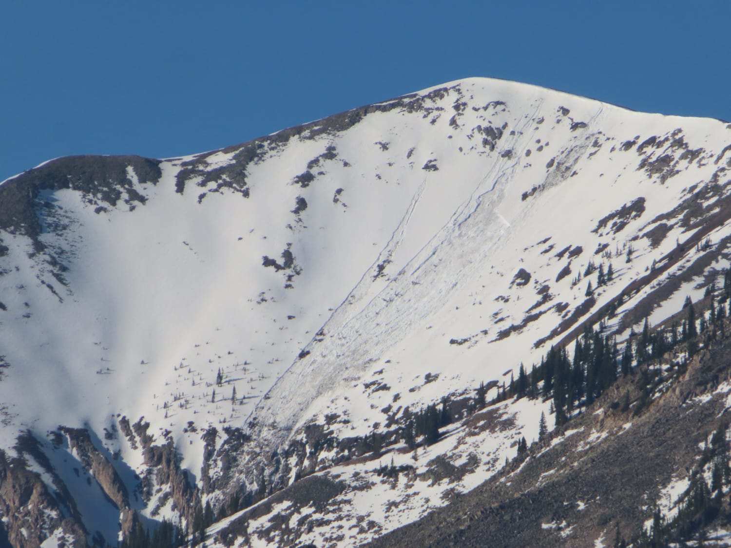 Observation photo