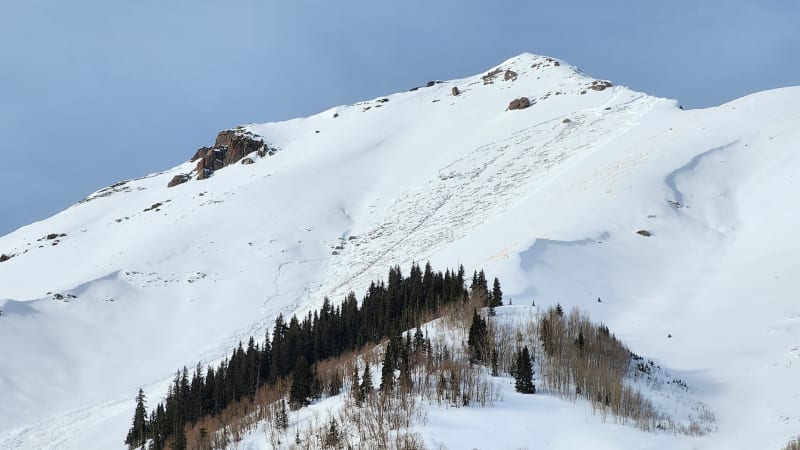 Observation photo 5
