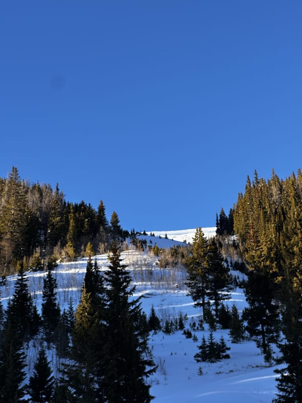 Observation photo 2