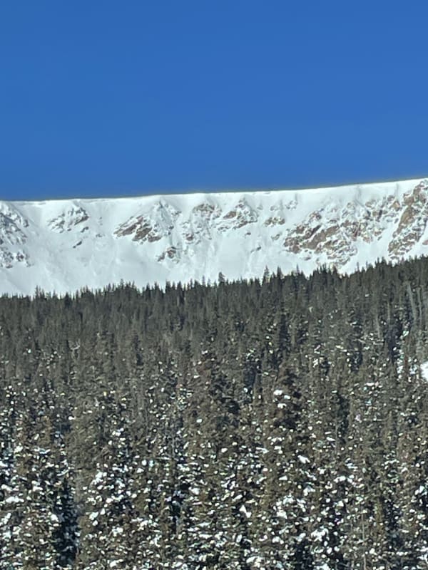Observation photo 2