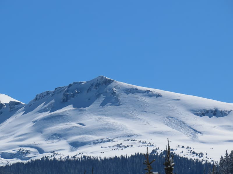 Observation photo 1
