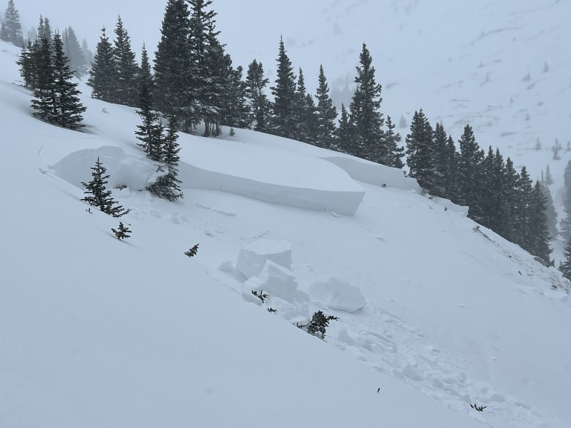 Observation photo 1