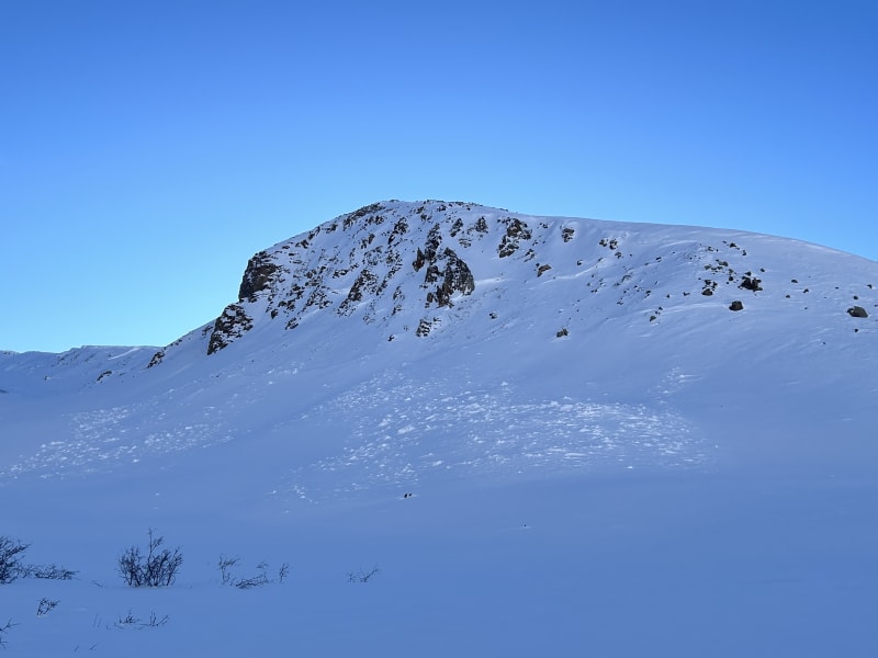 Observation photo 1