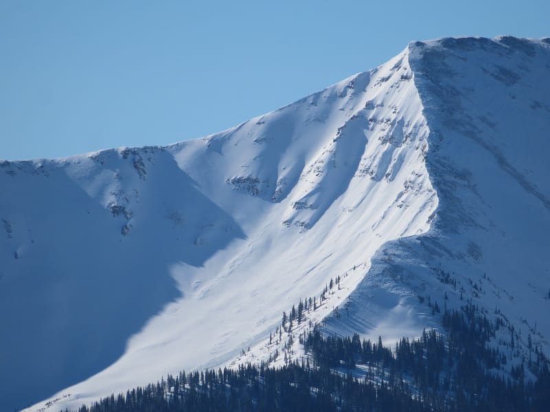 Observation photo 22