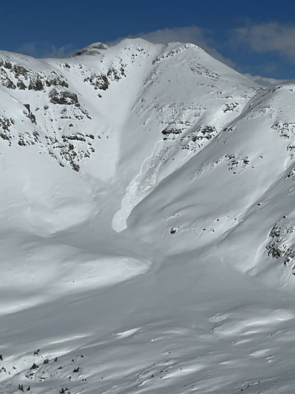 Observation photo 1