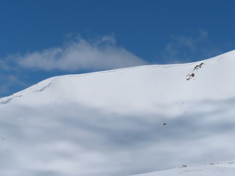 Observation photo 13