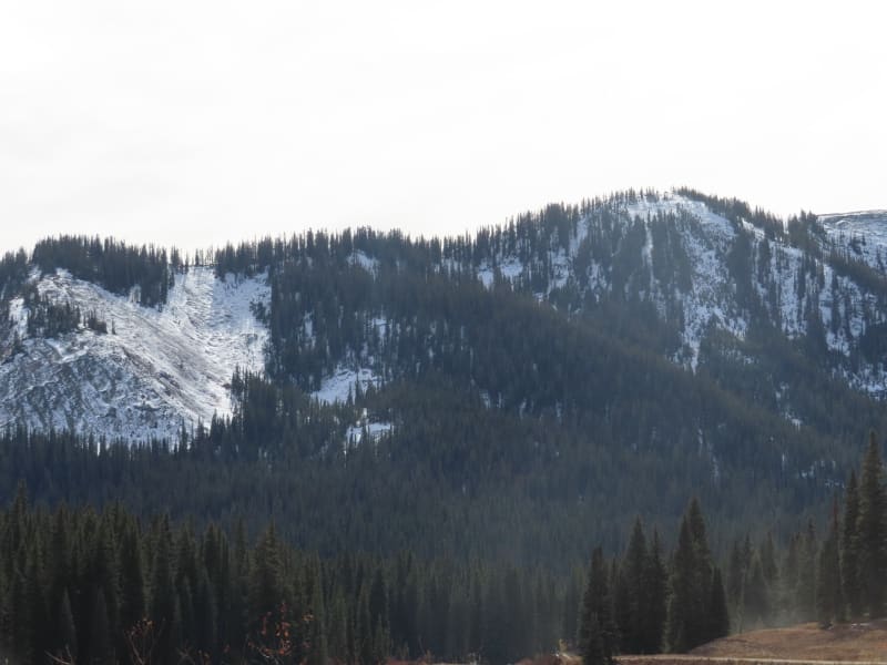 Observation photo 5