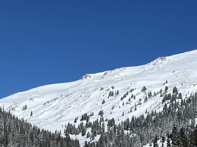 Observation photo 4