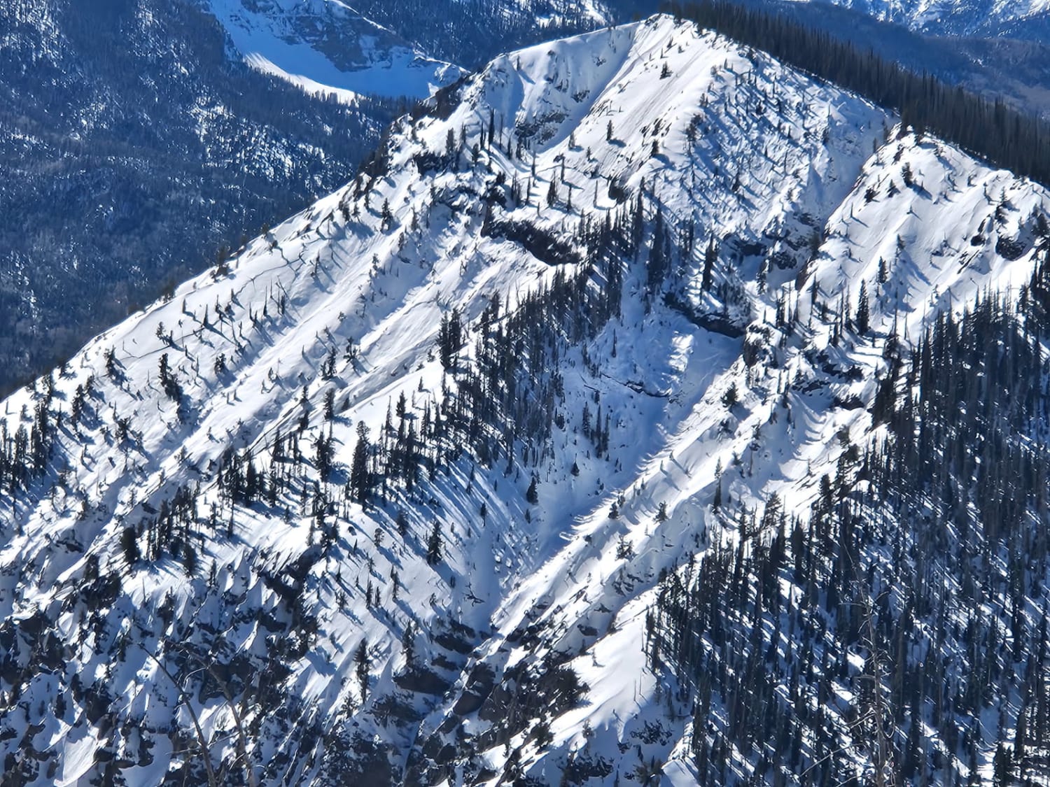 Observation photo