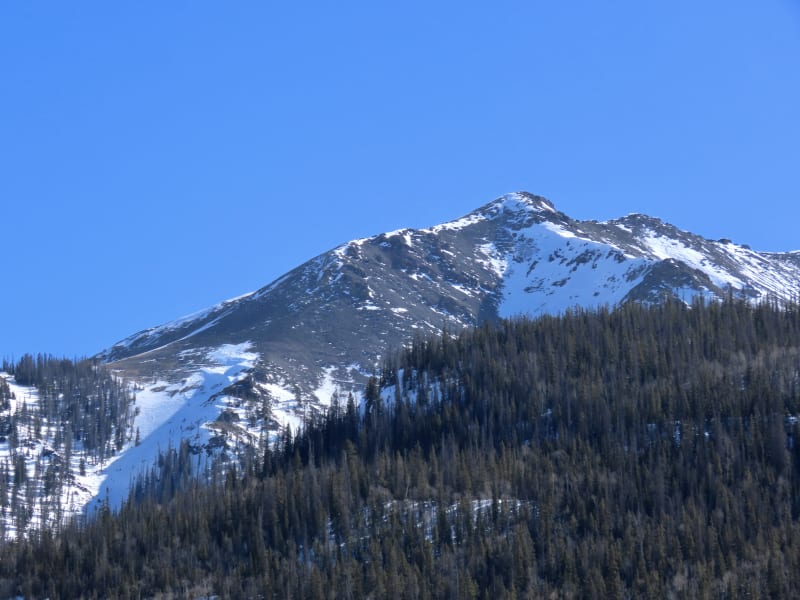 Observation photo 4
