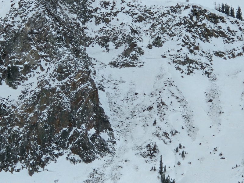 Observation photo 6