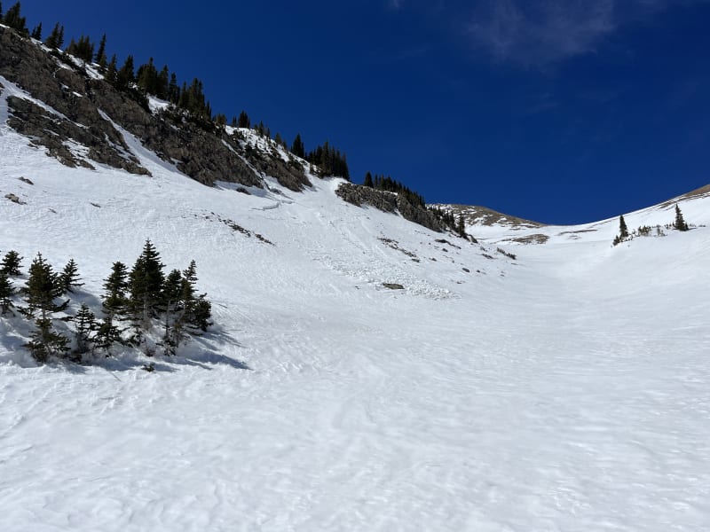 Observation photo 1