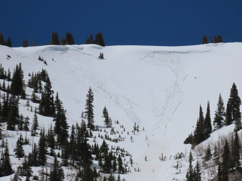 Observation photo 2
