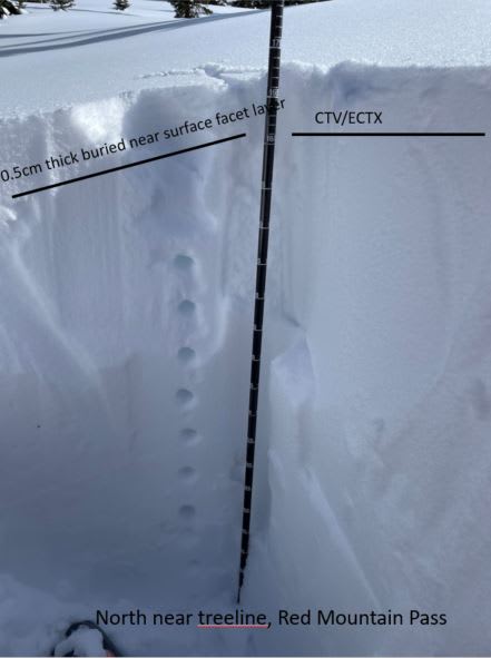 Observation photo 2