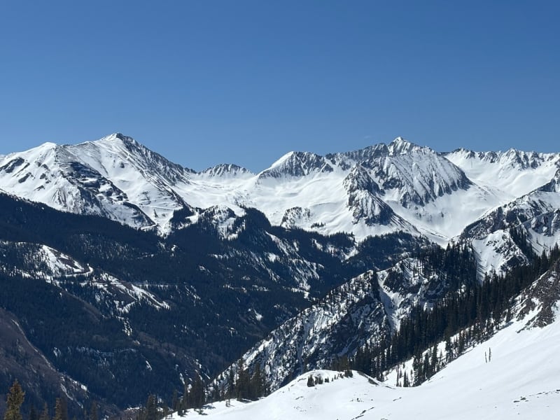 Observation photo 1