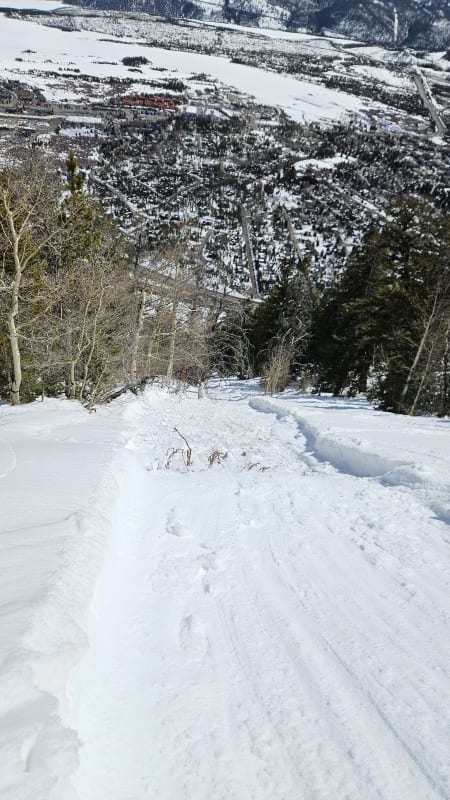 Observation photo 2