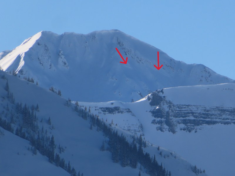 Observation photo 7