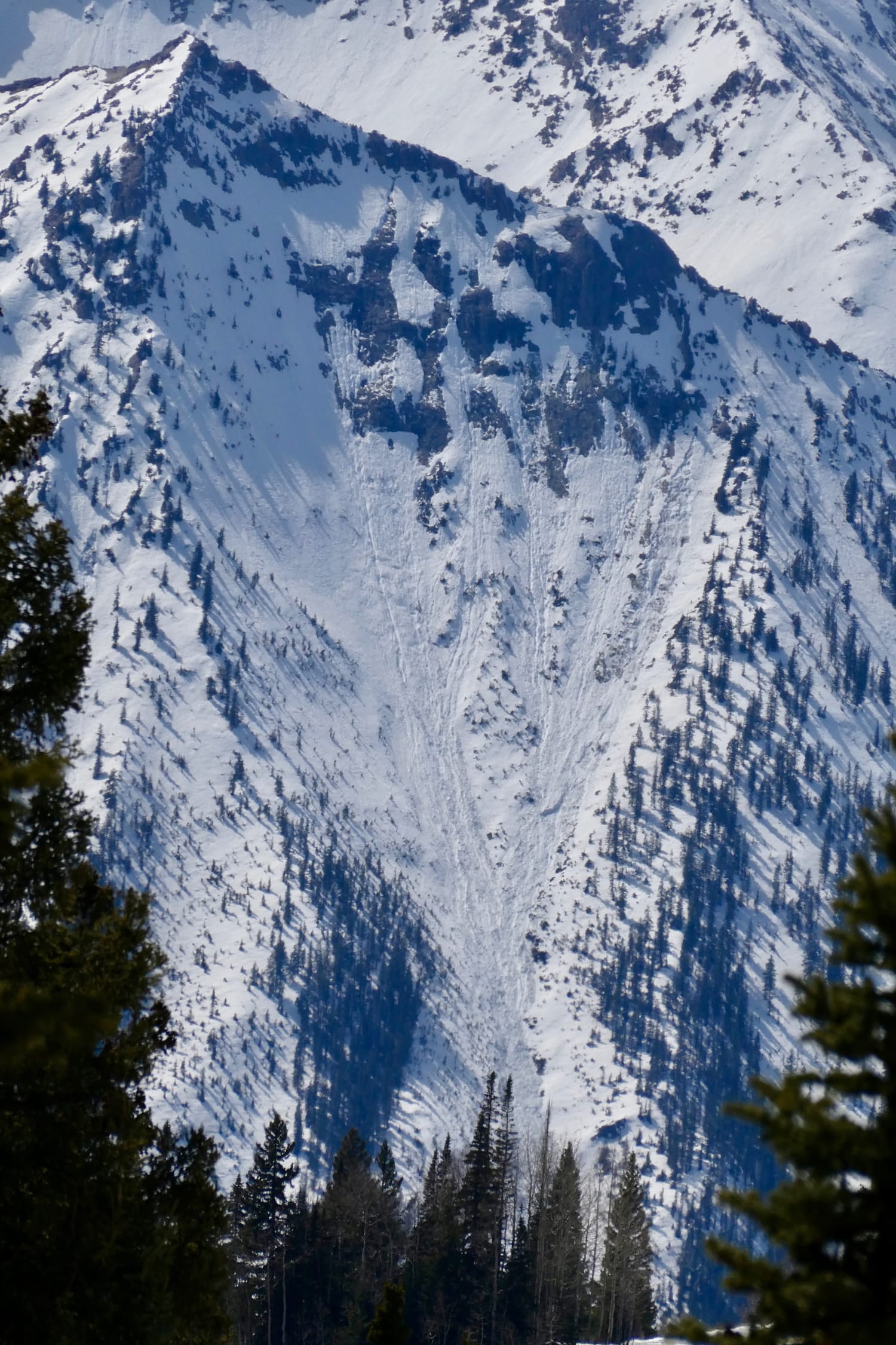 Observation photo