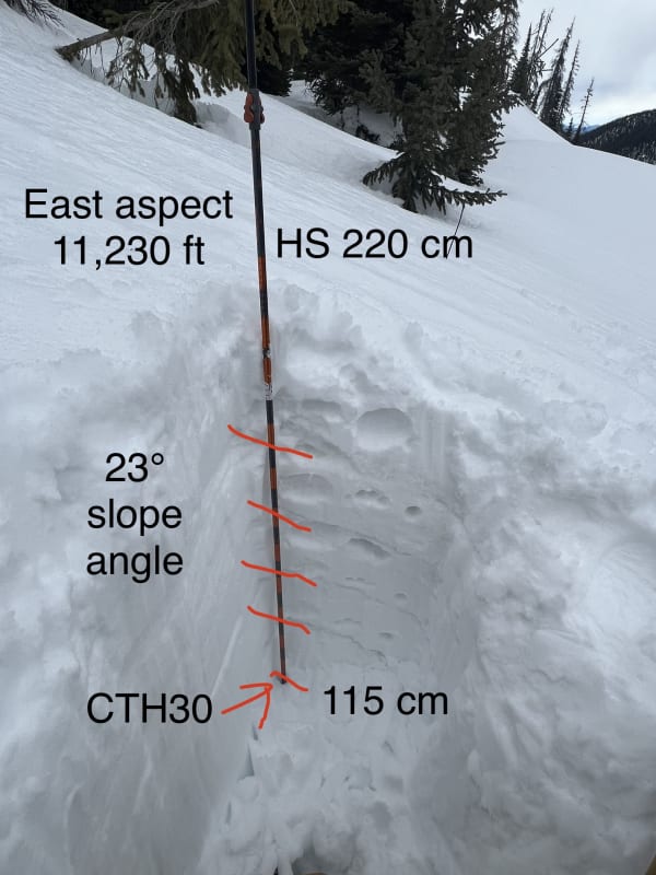 Observation photo 1
