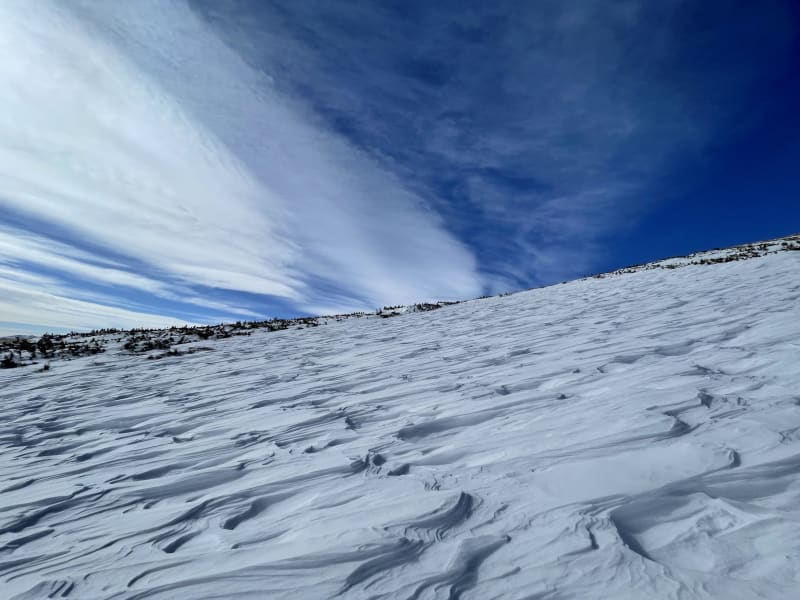 Observation photo 2