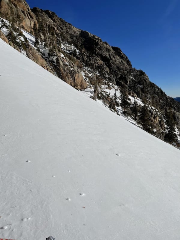 Observation photo 4